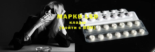 ПСИЛОЦИБИНОВЫЕ ГРИБЫ Ессентукская