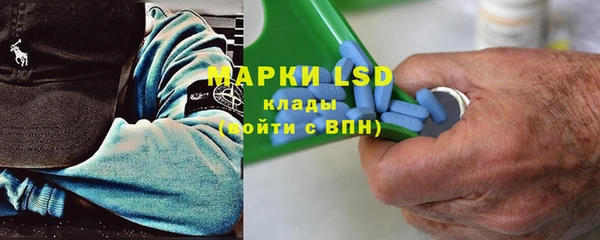 ПСИЛОЦИБИНОВЫЕ ГРИБЫ Ессентукская
