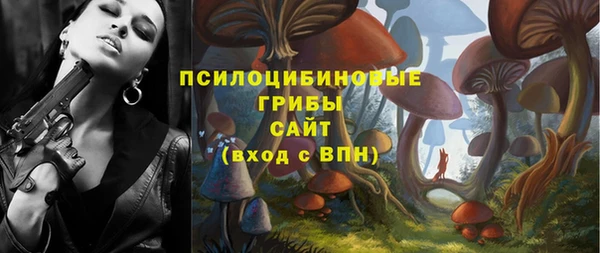 ПСИЛОЦИБИНОВЫЕ ГРИБЫ Ессентукская