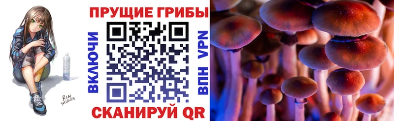 Купить где Полысаево Псилоцибиновые грибы прущие грибы